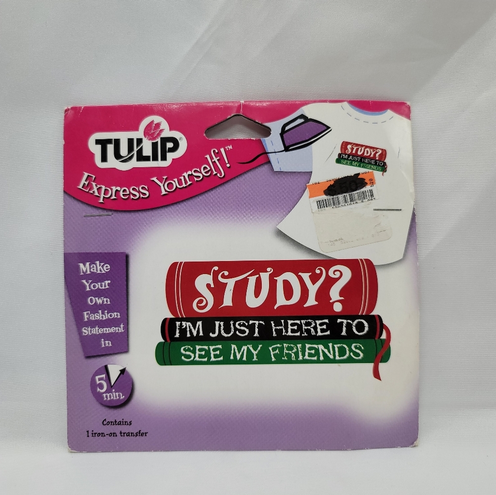 Tulip Express Yourself Iron-On Transfer Study? I'm Just Here To See My Friends